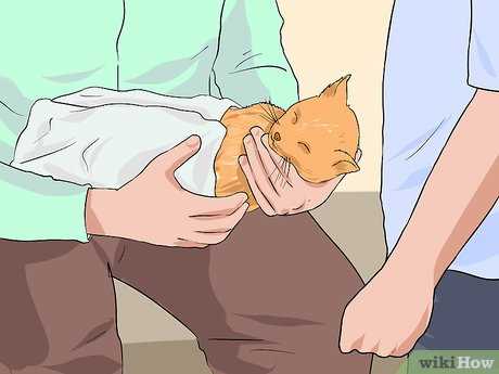 Monitoring for Signs of Infection