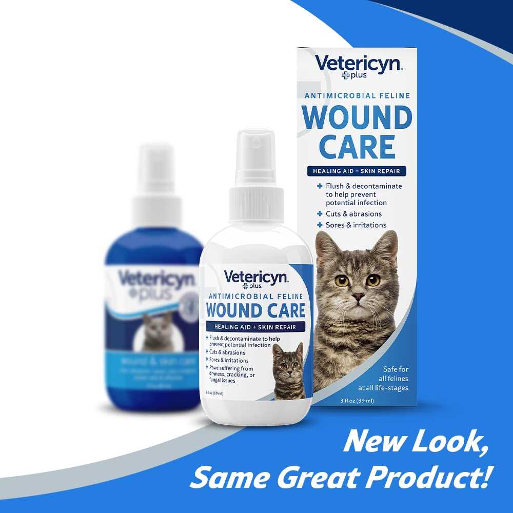 Steps to Clean the Wound Safely