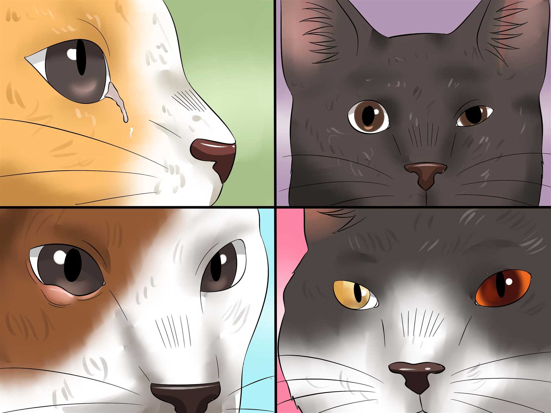 When to Seek Veterinary Assistance