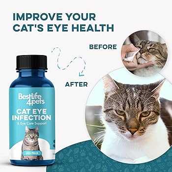 Choosing the Right Cleaning Solution for Your Feline