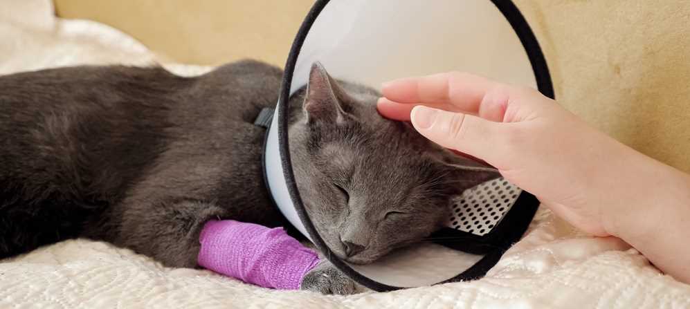 Post-Care Tips