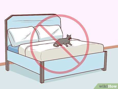 Vinegar Solution