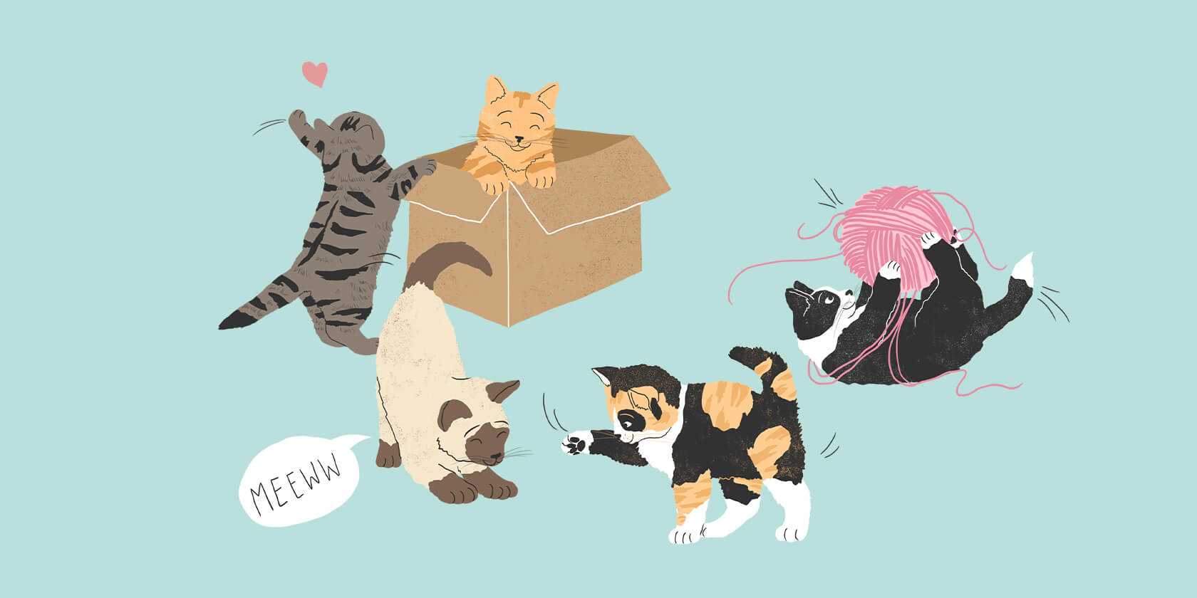 Dealing with Fleas and Parasites