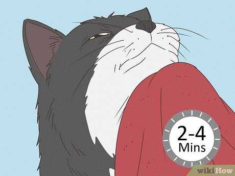 When to Consult a Veterinarian