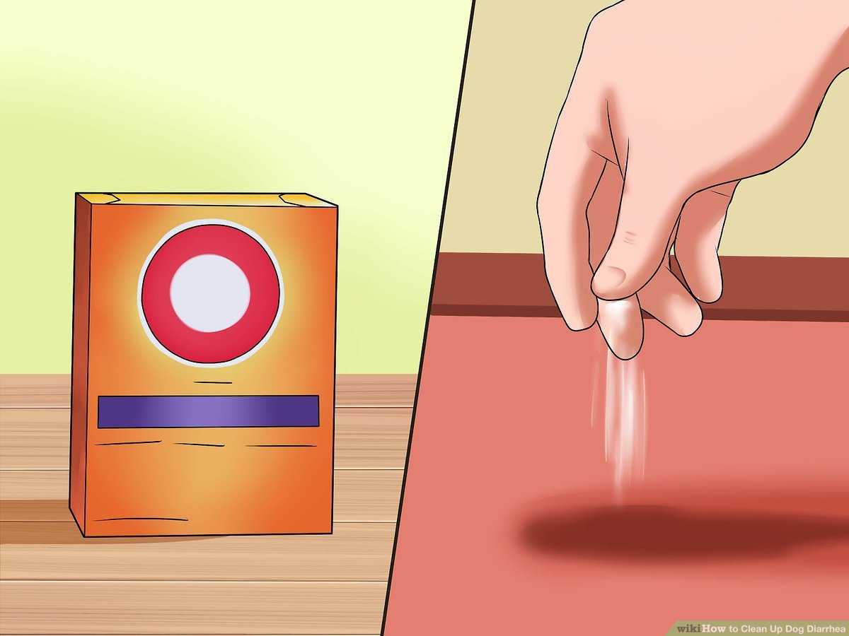 Blot the Stain with Paper Towels