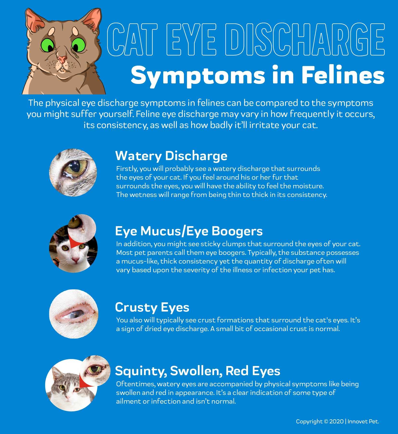 Common Symptoms to Watch For