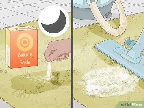 Deodorizing the Carpet After Cleaning
