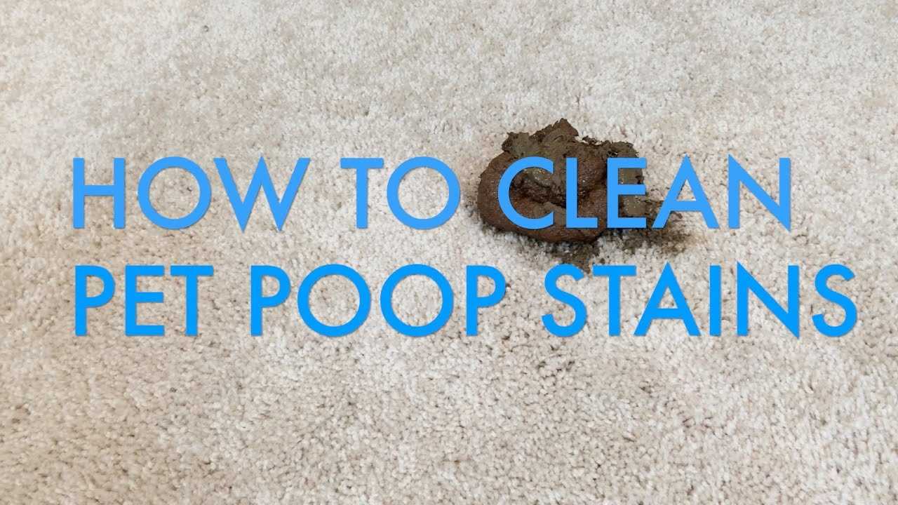 Gathering Necessary Cleaning Supplies