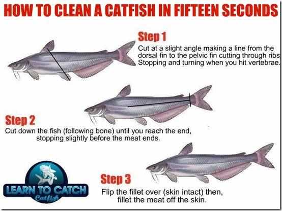 Safety Precautions