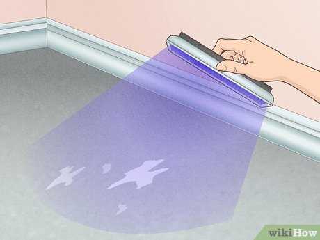 Behavioral Considerations