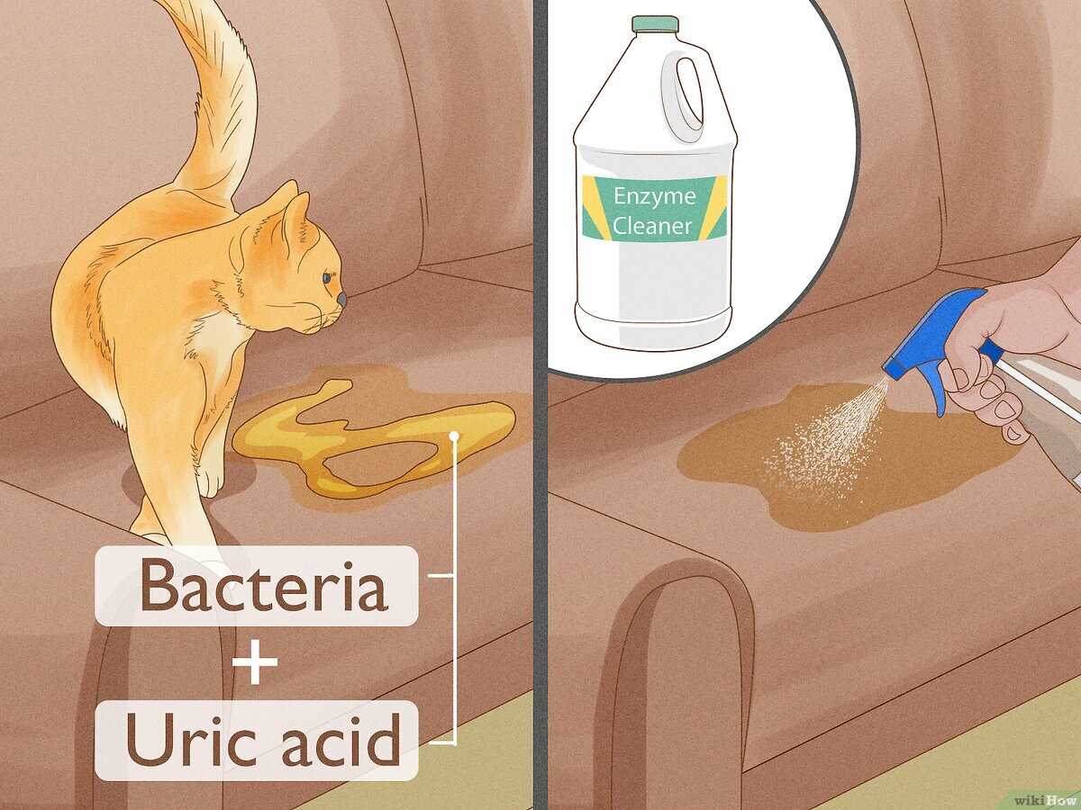 Using Vinegar Solution