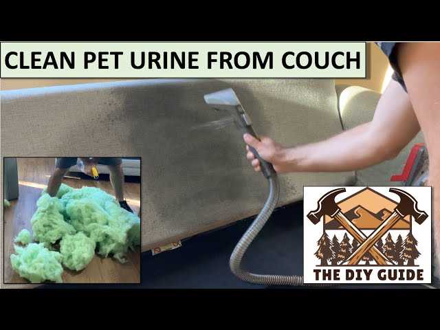 Removing Odor from Upholstery