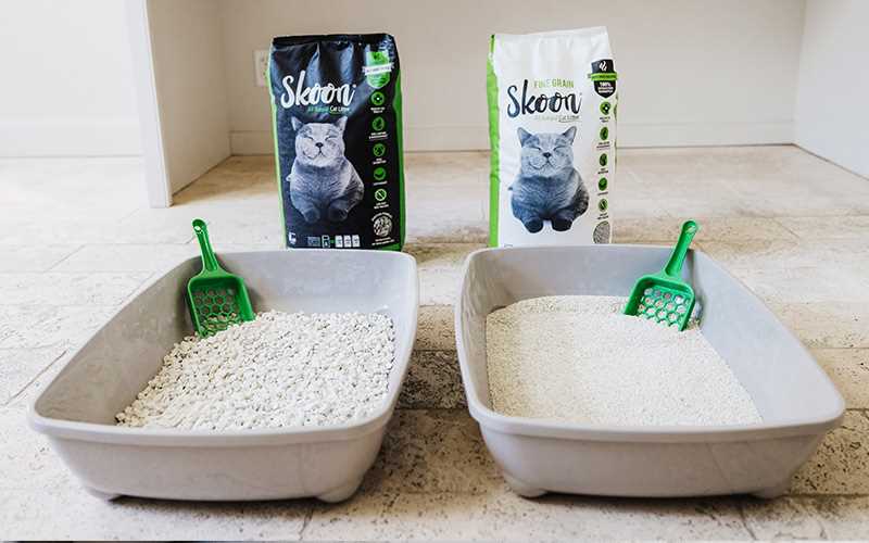 When to Replace the Entire Litter Box