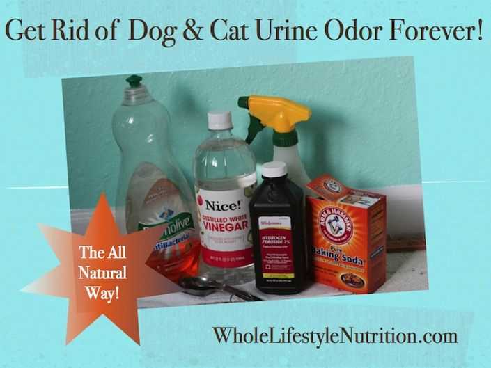 Removing Unwanted Odor from Fiber Surfaces