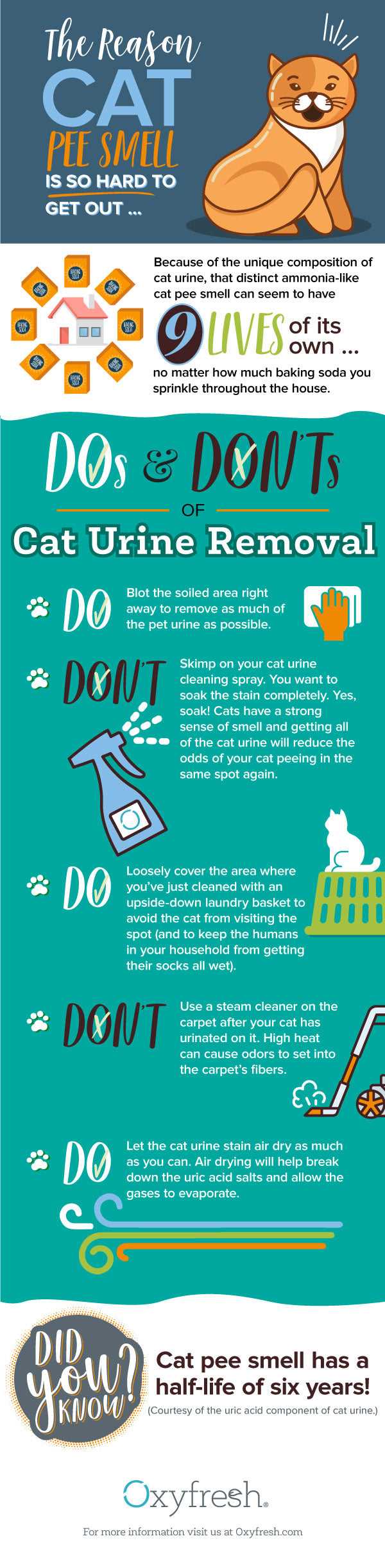 Preventing Future Accidents on Your Couch