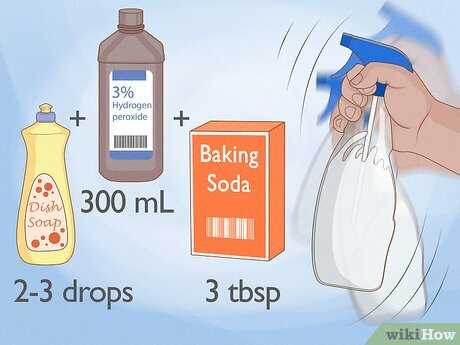 Steps to Tackle Unpleasant Odors on Your Furniture