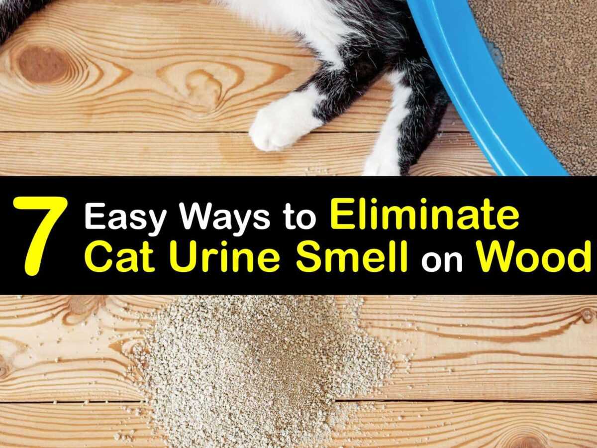 Upholstery care