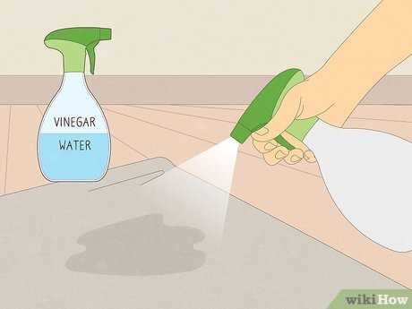 Gather Necessary Cleaning Supplies