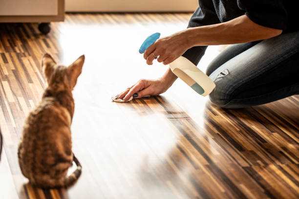 Apply the Solution to the Wood Furniture
