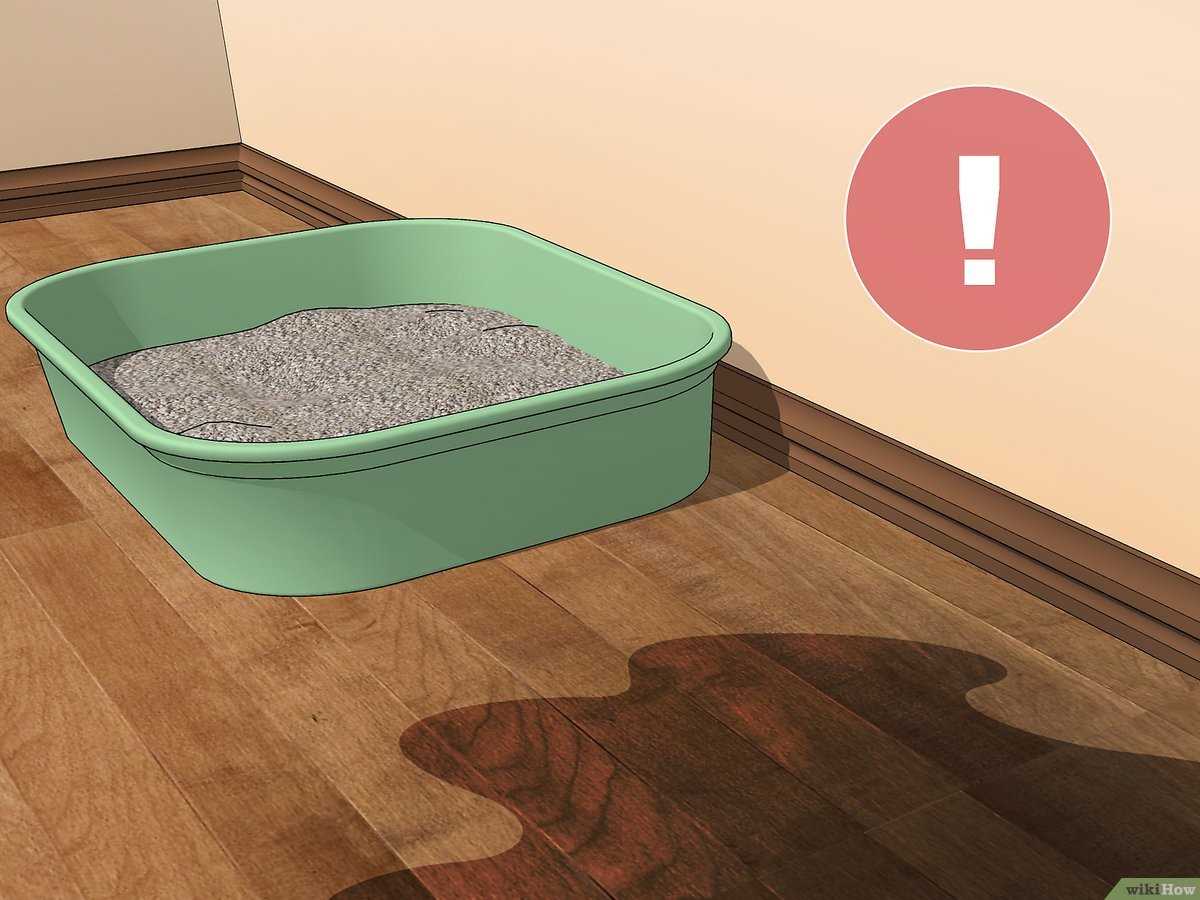 Identify the Affected Areas on Furniture