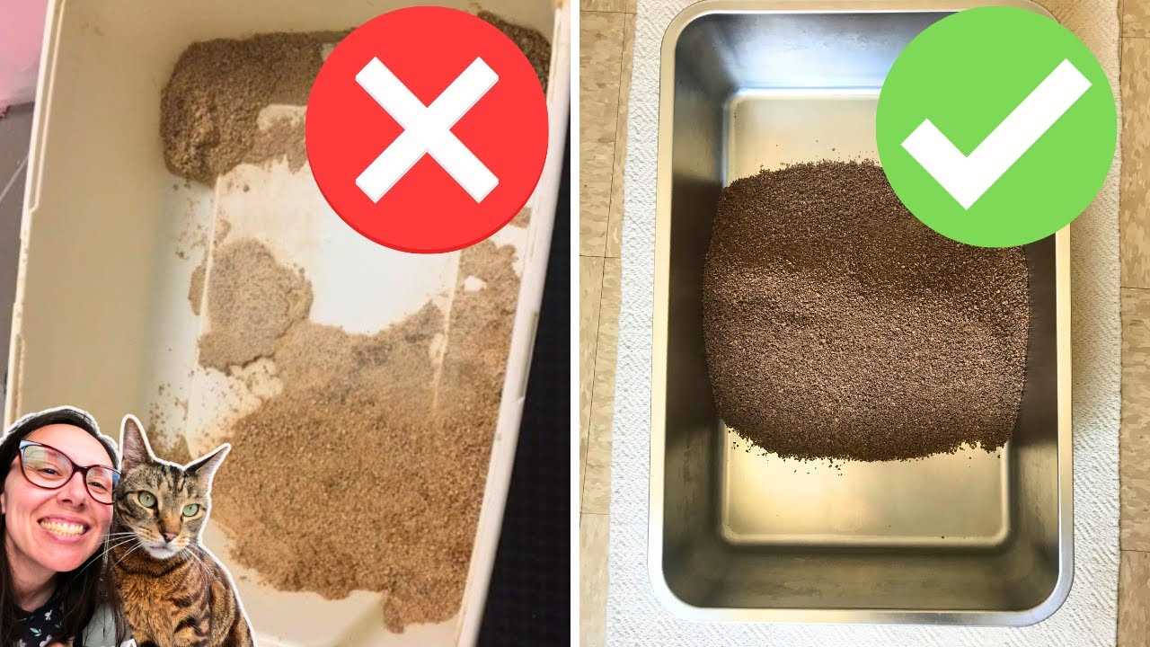 Evaluate Cleaning Products