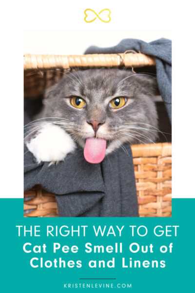 Choose the Right Cleaning Solution for the Stain