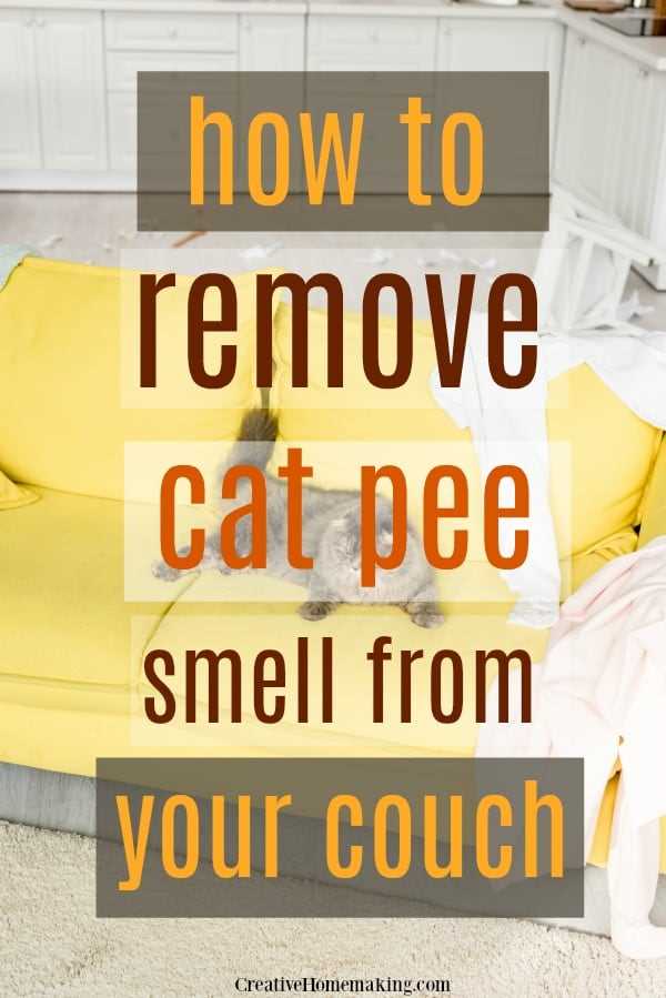 Gather Necessary Cleaning Supplies