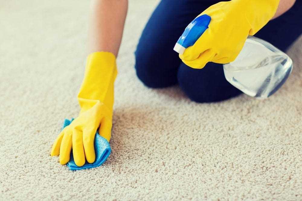 Enzymatic Cleaners