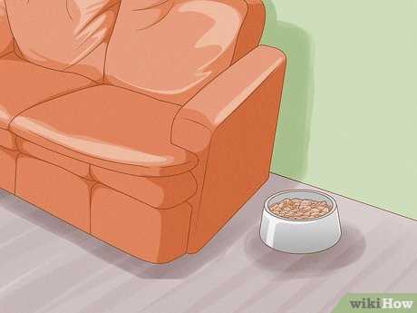 Preparing a Cleaning Solution for Leather