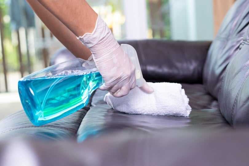 Utilize Deterrents