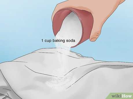 Gather Necessary Cleaning Supplies for Odor Removal