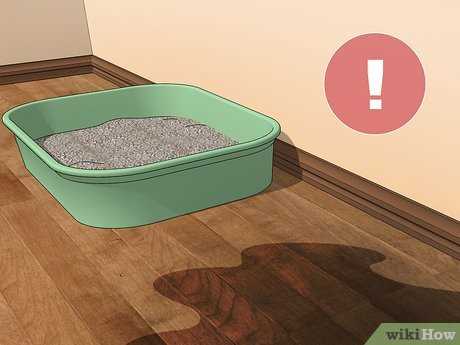 Using Odor Neutralizers for Extra Protection