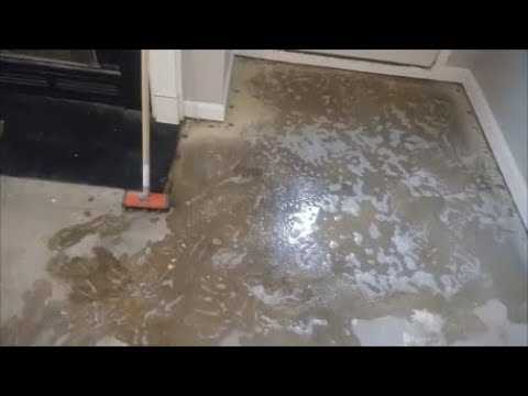 Gather Necessary Cleaning Supplies