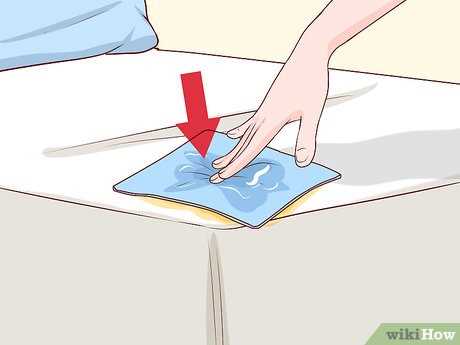 Choosing the Right Cleaning Solution for Urine