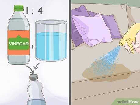 Regular Litter Box Maintenance