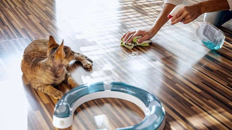 Choosing the Right Cleaning Solution