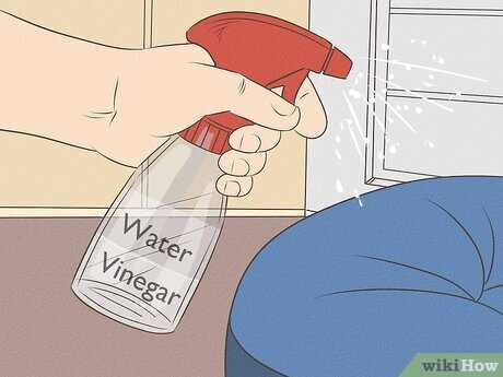 Implementing Regular Cleaning Routines