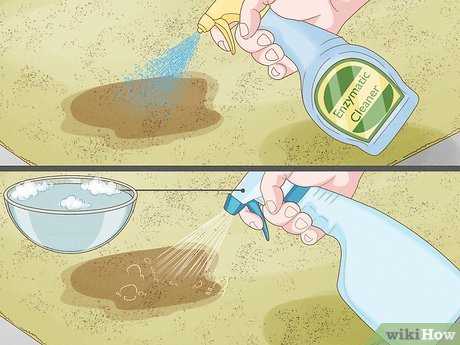 Disinfect After Blotting