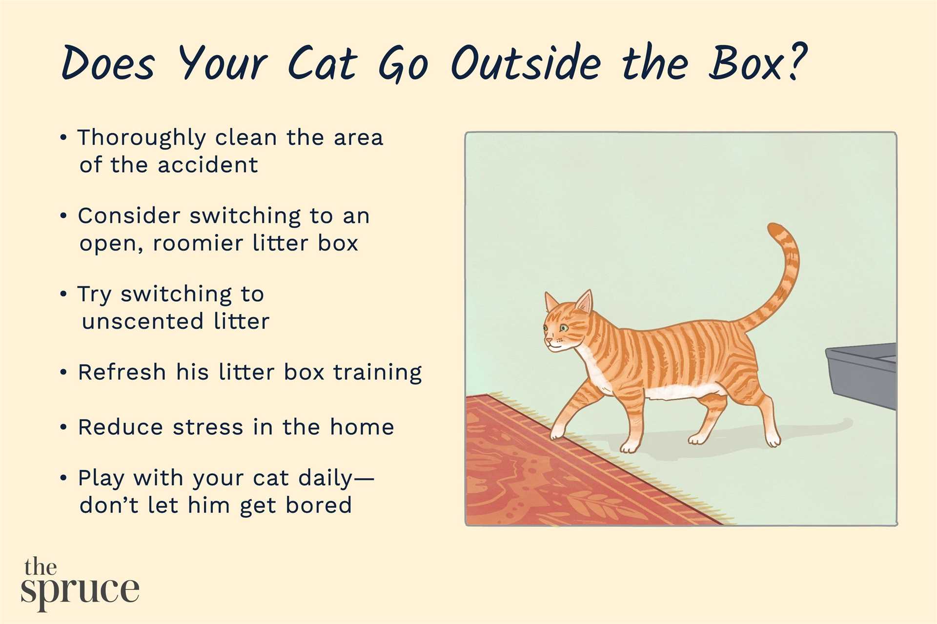 Blot the Area to Absorb Moisture