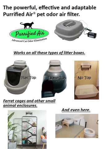 Eliminate Unpleasant Odors in Your Living Space