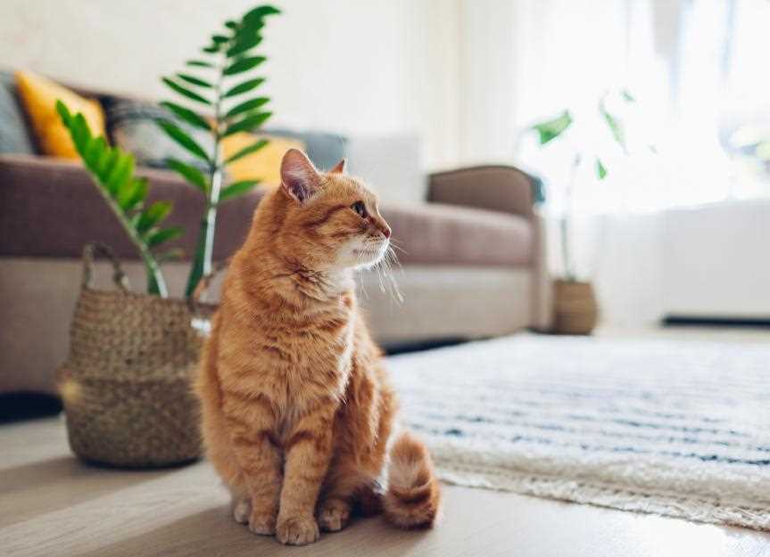 Inspect Furniture and Fabrics