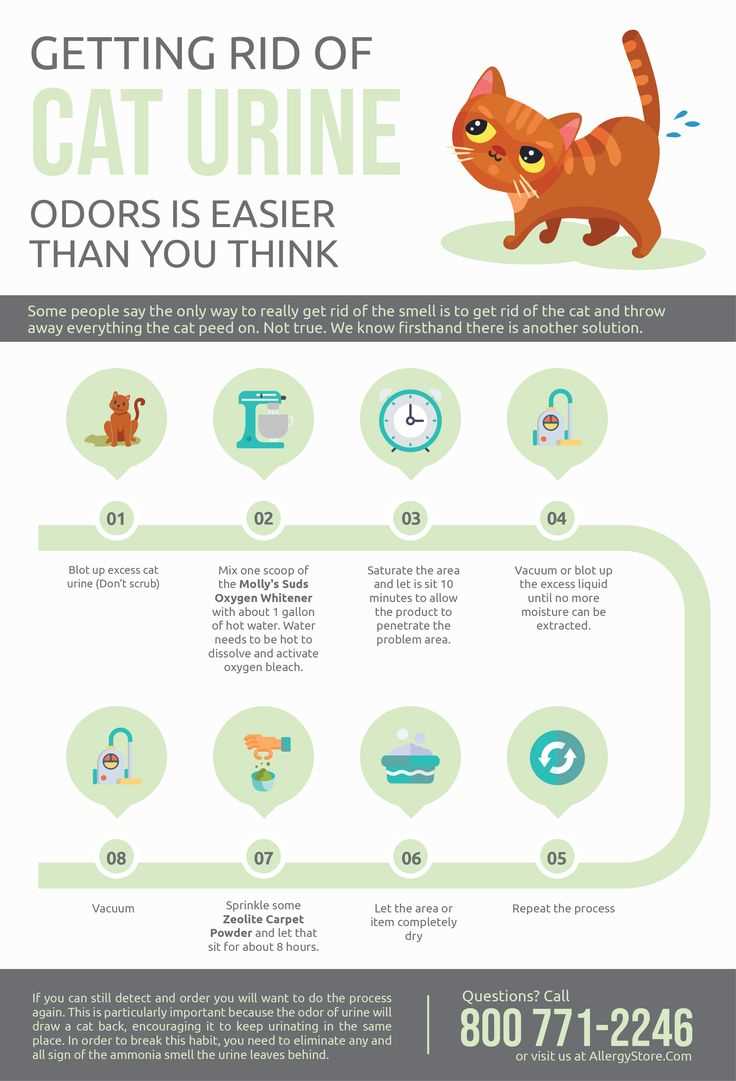Choose the Right Cleaning Products