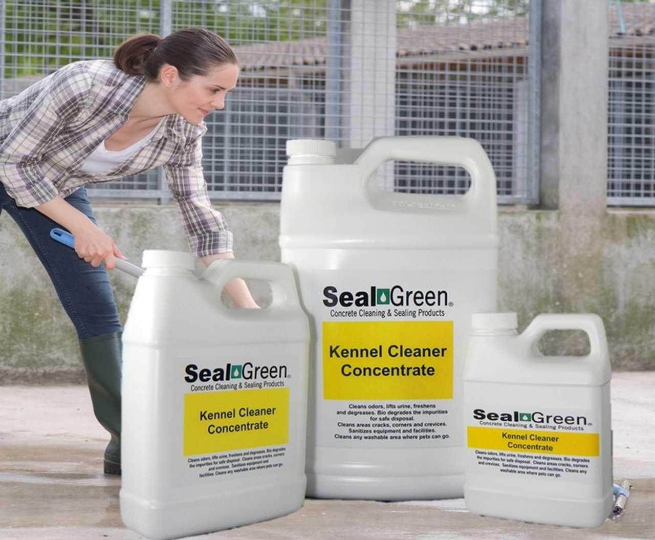 Choosing the Right Cleaning Solution