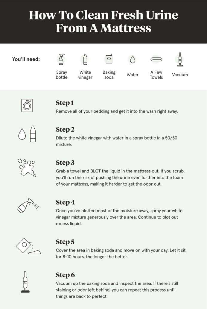Step-by-Step Cleaning Process for Mattresses