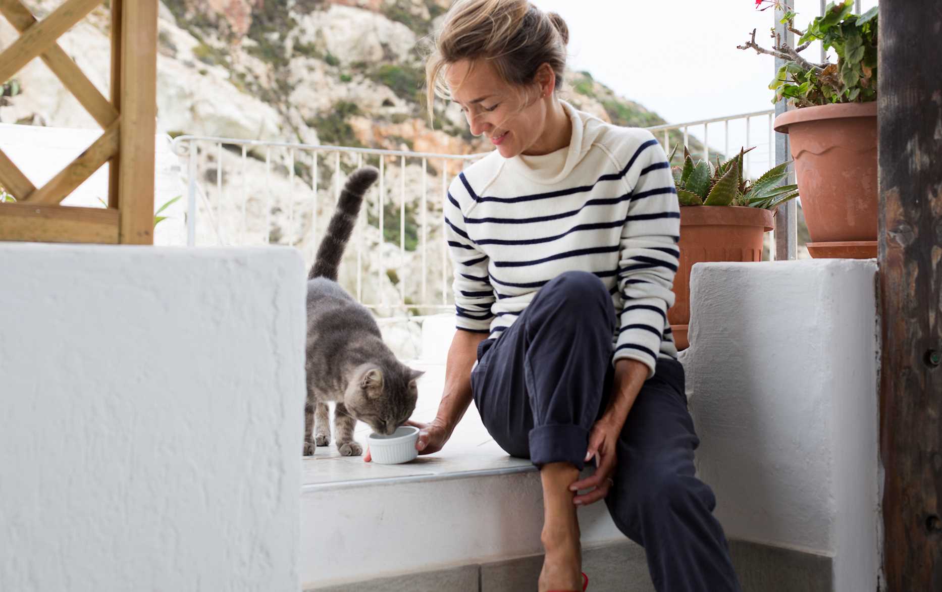 Preventing Future Marking by Felines