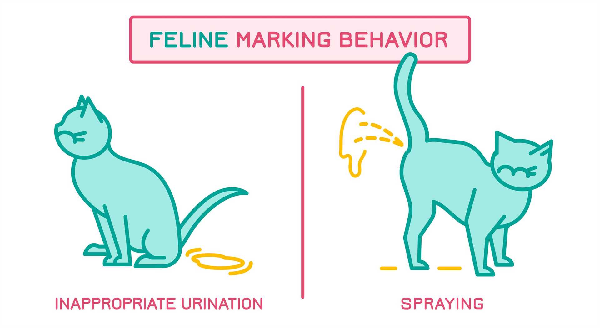 Eliminating Unpleasant Odors from the Outdoors