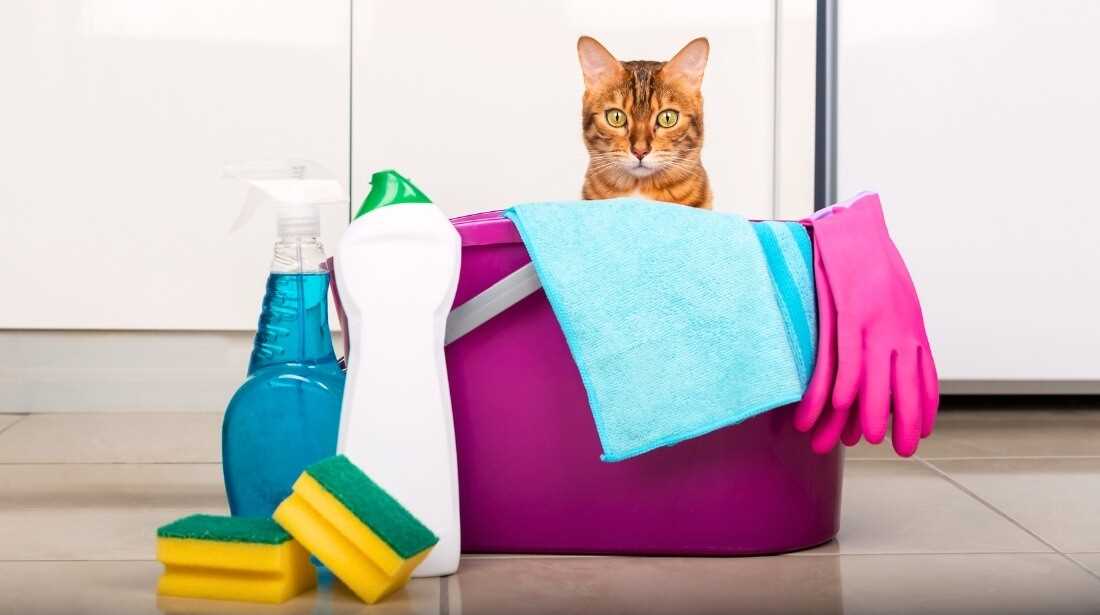 Choosing the Right Cleaning Solutions