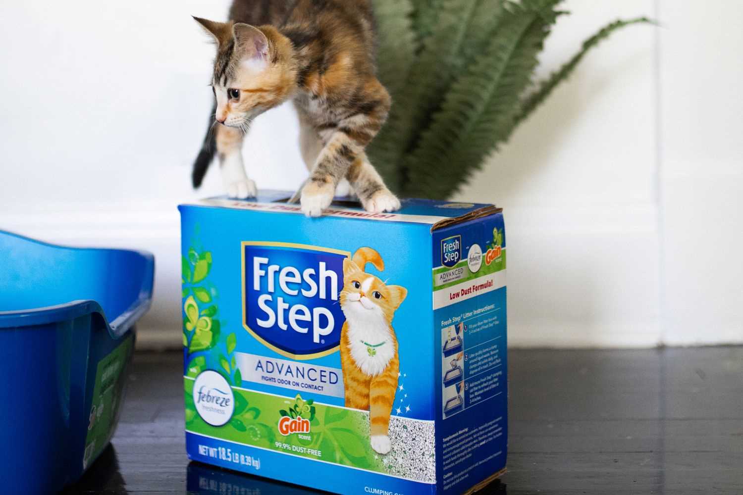 Maintaining Litter Box Hygiene with Disinfectants