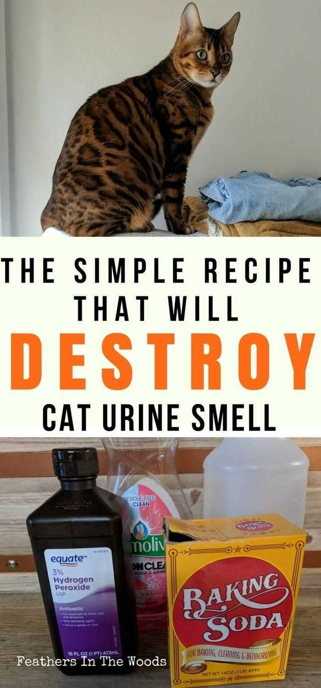 Homemade Solutions