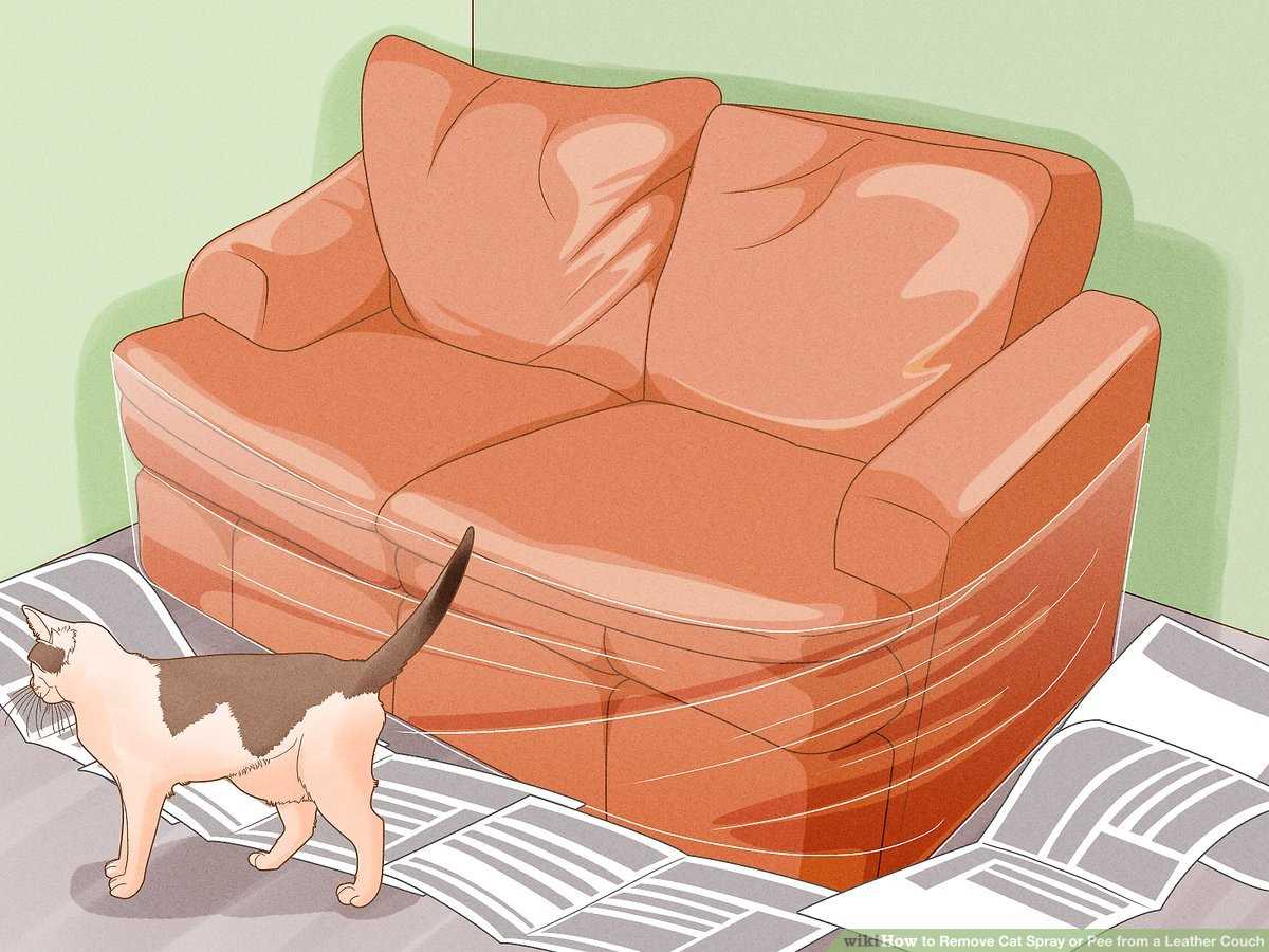 Prevent Future Accidents with Training Tips